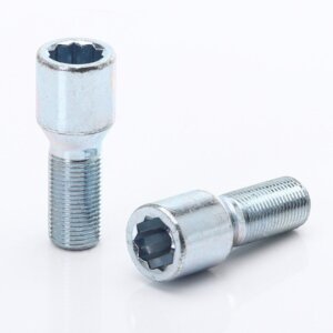 Silver Extended Internal Drive Wheel Bolts M14x1.5 (33 mm - Pack of 10)