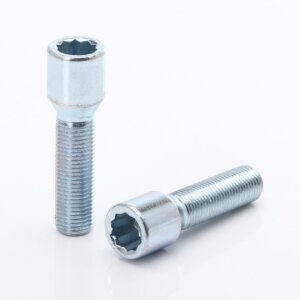 Silver Extended Internal Drive Wheel Bolts M14x1.5 (45 mm - Pack of 10)