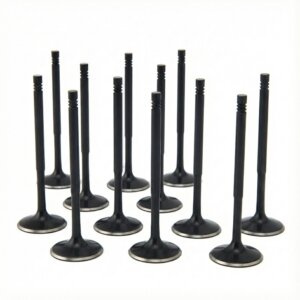 ZRP sesalni ventili za BMW M3 E36/E46 3.2 (S50/S52/S54)