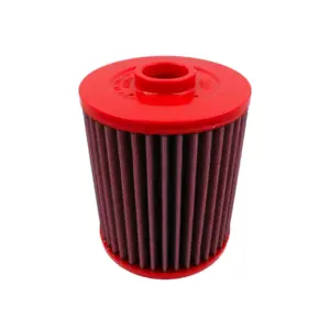 BMC športni zračni filter FB01029 za Audi A6, S6