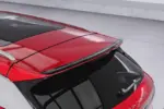 CSR zadnje krilo za BYD Atto 3 I