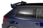 CSR zadnje krilo za Audi A3 III (8V) 3-vratni S-Line/S3/RS3
