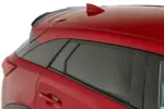 CSR zadnje krilo za Mazda CX-3 I