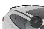 CSR zadnje krilo za BMW X2 I (F39)