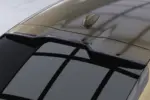 CSR zadnje krilo za BMW X6 (G06)