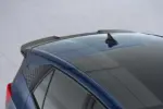 CSR zadnje krilo za Cupra Born I
