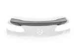 CSR zadnje krilo za Mercedes-Benz E-razred V (A238) kabriolet