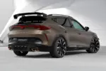 CSR swan neck spojler za Cupra Formentor I