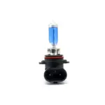 Einparts halogenske žarnice HB4 12 V 55 W 5000 K, par