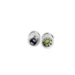 Einparts LED žarnice P21/5W CANbus 6000 K 135x SMD 2016, par