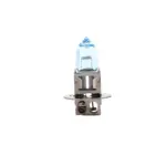 Sparco halogenske žarnice H3 12 V 55 W, par