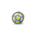 Einparts LED žarnice 9–16 V CANbus 6000 K 24× SMD 3030, par