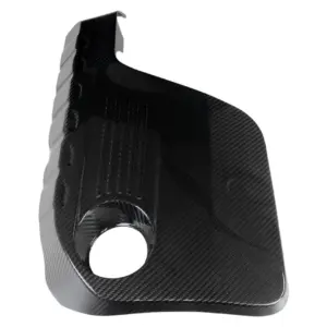 HG Motorsport karbonski pokrov za BMW S55B30A (M2, M3, M4)