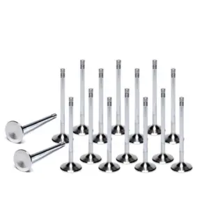Ferrea ventili za 2.0 TFSI EA113 / 2.0 TSI EA888.1 / 2 / 3 / 4